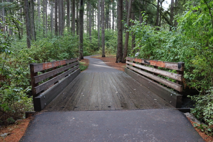 Wooden bridge with smooth transition from paved trail crosses Johnston Creek Wooden bridge with smooth transition from paved trail crosses Johnston Creek